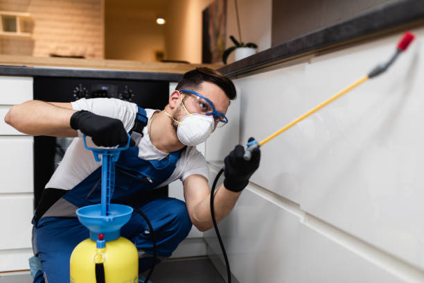 Best Best Pest Control Companies  in Dayton, NV