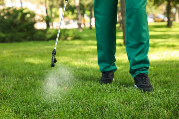 Best Pest Removal Services  in Dayton, NV