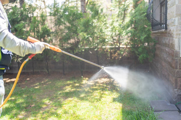 Best Commercial Pest Control Services  in Dayton, NV