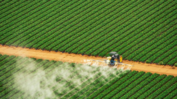 Best Pest Control Treatment  in Dayton, NV