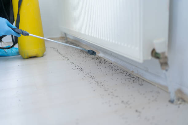 Best Residential Pest Control  in Dayton, NV
