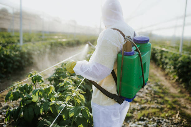 Best Flea Control Services  in Dayton, NV